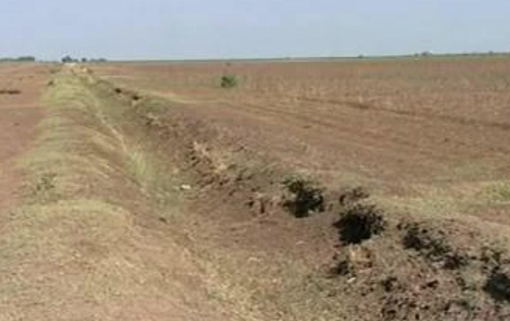 العطش في مشروع الجزيرة