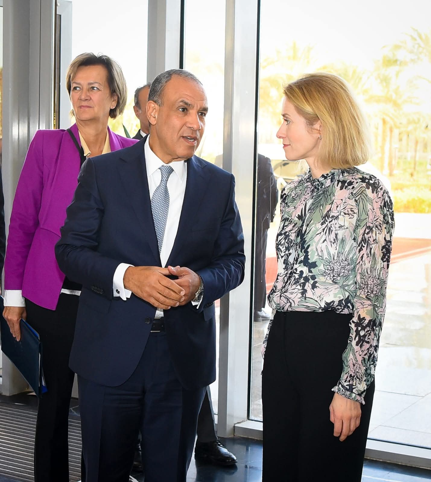 بدر عبد العاطي